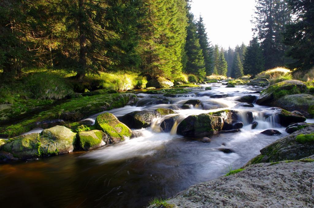 Chalupa Na Peci Želnava Rum bild
